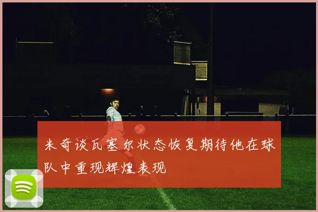 米奇谈瓦塞尔状态恢复期待他在球队中重现辉煌表现